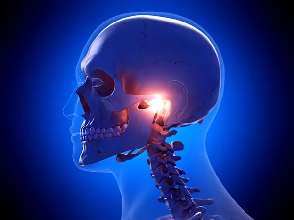 3D rendered x-ray of a skull with the TMJ highlighted.